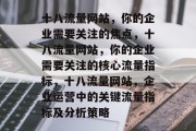 十八流量网站，你的企业需要关注的焦点，十八流量网站，你的企业需要关注的核心流量指标，十八流量网站，企业运营中的关键流量指标及分析策略