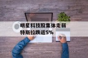 明星科技股集体走弱 特斯拉跌近5%