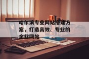 哈尔滨专业网站搭建方案，打造高效、专业的企业网站