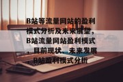 B站等流量网站的盈利模式分析及未来展望，B站流量网站盈利模式，目前现状、未来发展，B站盈利模式分析