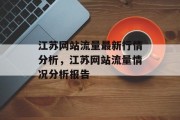 江苏网站流量最新行情分析，江苏网站流量情况分析报告