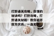打野通关攻略，你懂的秘诀吗？打野攻略，打野通关秘籍！教你避开敌方伏兵，一血无惧!