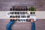 提升网站快速排名SEO的策略与技巧，提升网站排名 SEO 财务优化技巧与实战