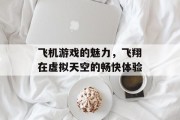 飞机游戏的魅力，飞翔在虚拟天空的畅快体验