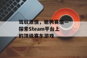 驾驭激情，驰骋赛道—探索Steam平台上的顶级赛车游戏