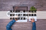深入剖析，哪个网站流量好一点？揭秘流量高手的秘密武器！