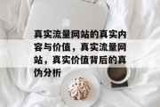 真实流量网站的真实内容与价值，真实流量网站，真实价值背后的真伪分析