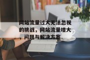 网站流量过大无法忽视的挑战，网站流量增大，问题与解决方案