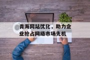青海网站优化，助力企业抢占网络市场先机