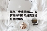 揭秘广告流量网站，如何高效利用网络资源提升品牌曝光