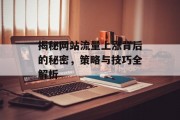 揭秘网站流量上涨背后的秘密,策略与技巧全解析 揭秘网站流量上涨背后的秘密,策略与技巧全解析