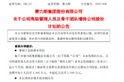 赛力斯：高管及骨干团队拟1500万元-3000万元增持公司股份