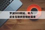 罗湖SEO网站，助力企业互联网营销新篇章