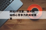 网站UV流量，提升网站核心竞争力的关键要素