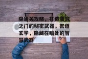 隐通关攻略，打造智慧之门的秘密武器，密道玄学，隐藏在暗处的智慧武器