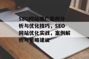 SEO网站推广案例分析与优化技巧，SEO网站优化实战，案例解析与策略建议