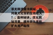 求无限流量卡网站，如何最大化你的在线收入？，盈利秘诀，优化网站流量、提升转化率和扩大用户粘性