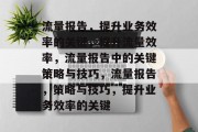 流量报告，提升业务效率的关键，提升流量效率，流量报告中的关键策略与技巧，流量报告，策略与技巧，提升业务效率的关键