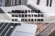 为何网站查不到流量，网站流量查询不畅原因分析，网站流量不畅原因解析
