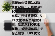 揭秘哈尔滨网站SEO优化秘籍!,哈尔滨SEO优化秘籍!关键词布局、元标签建设、URL优化等实战经验分享,哈尔滨SEO优化秘籍,关键词布局、元标签建设、URL优化 揭秘哈尔滨网站SEO优化秘籍!,哈尔滨SEO优化秘籍!关键词布局、元标签建设、URL优化等实战经验分享,哈尔滨SEO优化秘籍,关键词布局、元标签建设、URL优化