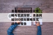 青县网站SEO优化策略与实战分析，青县网站SEO优化策略及实战分析报告