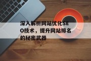 深入解析网站优化SEO技术，提升网站排名的秘密武器