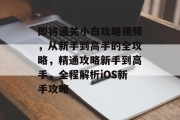 即将通关小白攻略视频,从新手到高手的全攻略,精通攻略新手到高手,全程解析iOS新手攻略