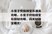 小龙子究极绿宝石通关攻略,小龙子终极绿宝石探秘攻略,闯关秘籍全曝光!