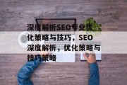 深度解析SEO专业优化策略与技巧，SEO深度解析，优化策略与技巧策略