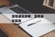 湿地通关攻略，湿地通关指南