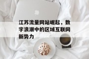 江苏流量网站崛起，数字浪潮中的区域互联网新势力