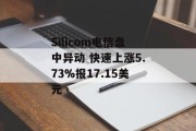Silicom电信盘中异动 快速上涨5.73%报17.15美元