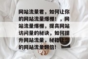 网站流量君，如何让你的网站流量爆棚！，网站流量爆棚，提高网站访问量的秘诀，如何提升网站流量，秘籍让您的网站流量翻倍!