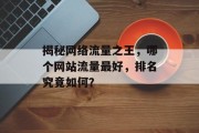 揭秘网络流量之王，哪个网站流量最好，排名究竟如何？