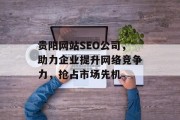 贵阳网站SEO公司，助力企业提升网络竞争力，抢占市场先机