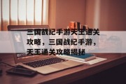 三国战纪手游天王通关攻略，三国战纪手游，天王通关攻略揭秘