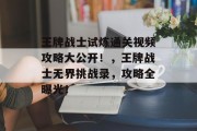 王牌战士试炼通关视频攻略大公开！，王牌战士无界挑战录，攻略全曝光！