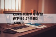 致保科技盘中异动 快速下挫6.74%报3.60美元
