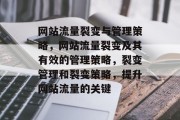 网站流量裂变与管理策略，网站流量裂变及其有效的管理策略，裂变管理和裂变策略，提升网站流量的关键