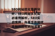 SEO网站优化案例分析，SEO网站优化实战案例解析，SEO实战案例，你是否也困扰于如何优化网站流量?