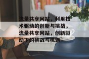 流量共享网站，利用技术驱动的创新与挑战，流量共享网站，创新驱动下的挑战与机遇