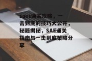 saes通关攻略，一击到底的技巧大公开，秘籍揭秘，SAE通关指南与一击到底策略分享