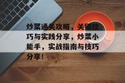 炒菜通关攻略,关键技巧与实践分享,炒菜小能手,实战指南与技巧分享!