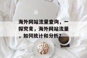海外网站流量查询,一探究竟,海外网站流量,如何统计和分析?
