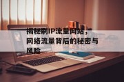 揭秘刷IP流量网站，网络流量背后的秘密与风险