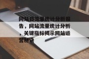 网站日流量统计分析报告，网站流量统计分析，关键指标揭示网站运营秘诀