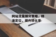 网站流量细分策略,精准定位,提升转化率 网站流量细分策略,精准定位,提升转化率