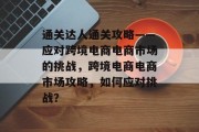 通关达人通关攻略——应对跨境电商电商市场的挑战，跨境电商电商市场攻略，如何应对挑战？