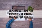通关攻略三，策略与技巧的结合，通关攻略，策略与技巧的完美结合