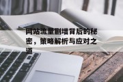 网站流量剧增背后的秘密，策略解析与应对之道